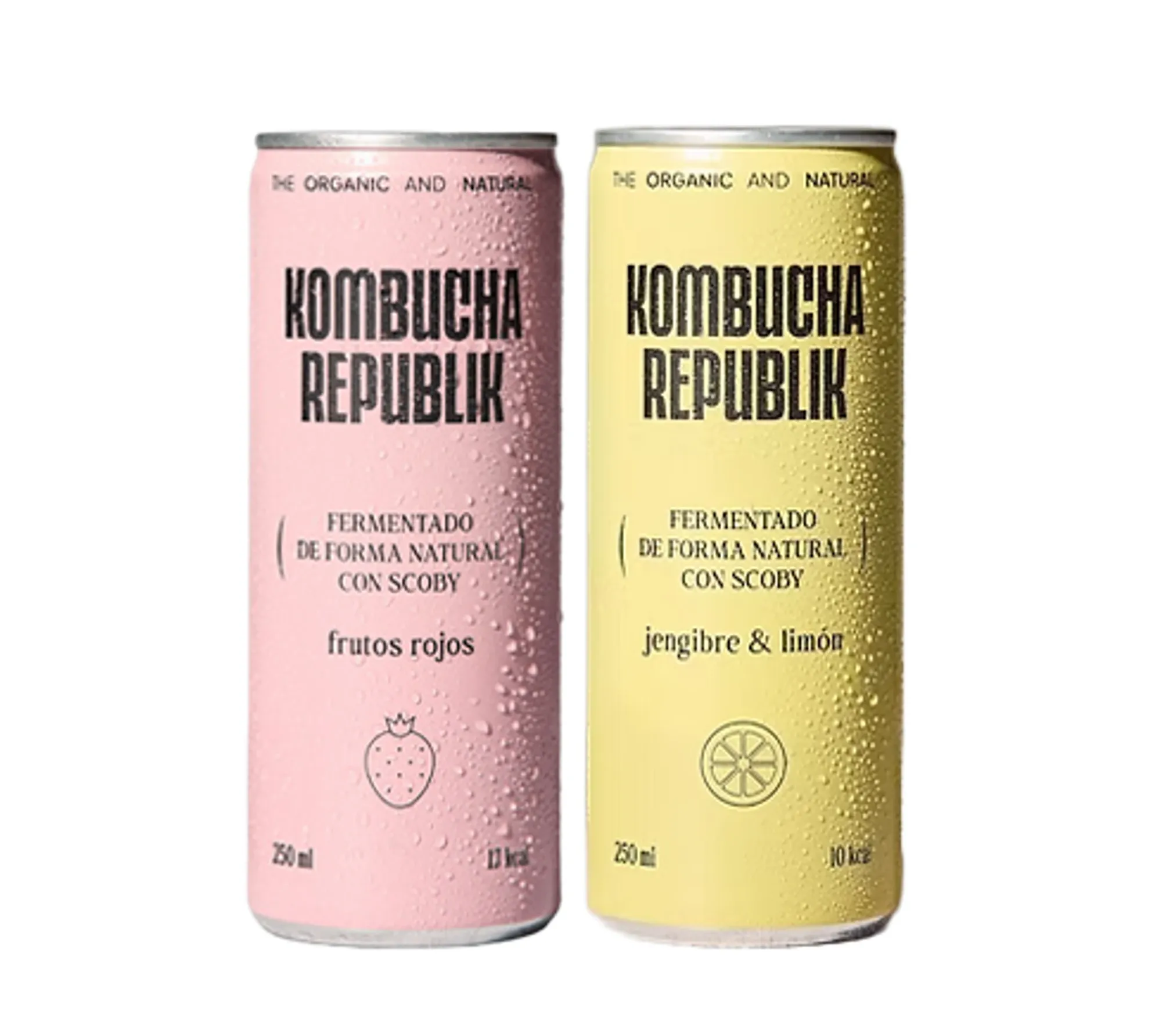 Kombucha Republik lata de aluminio sabor frutos rojos sobre fondo blanco, envase reciclable