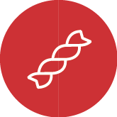 Arroz, Legumbres y pasta